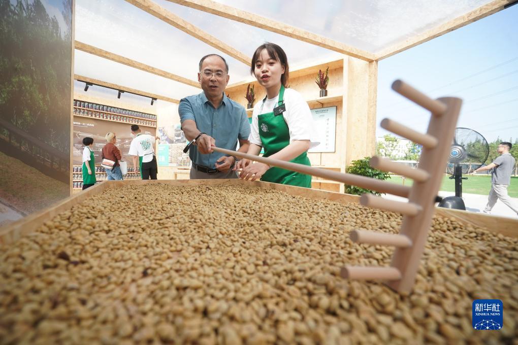 大唐麻将胡牌技巧